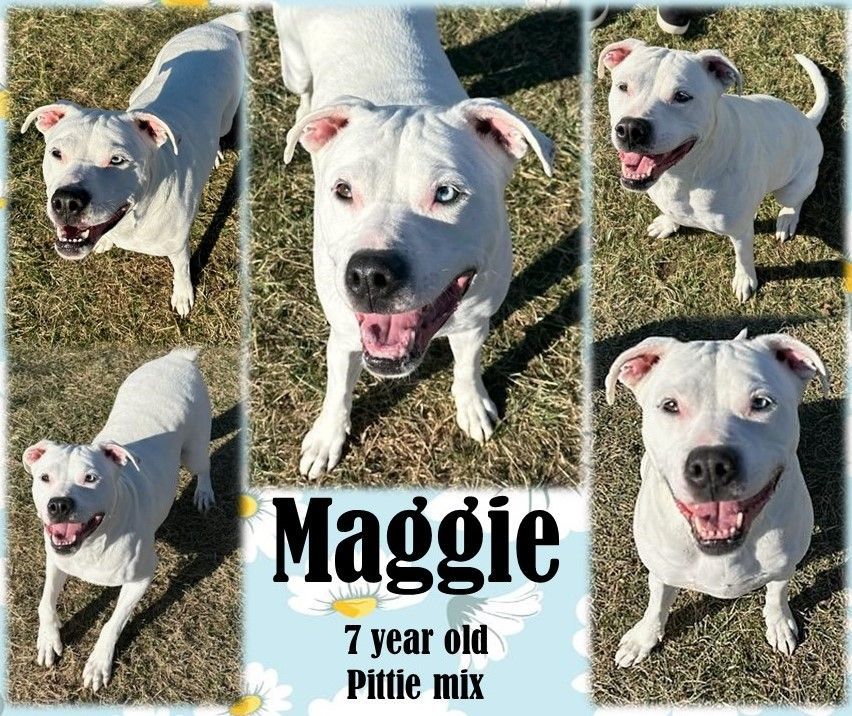 Maggie2