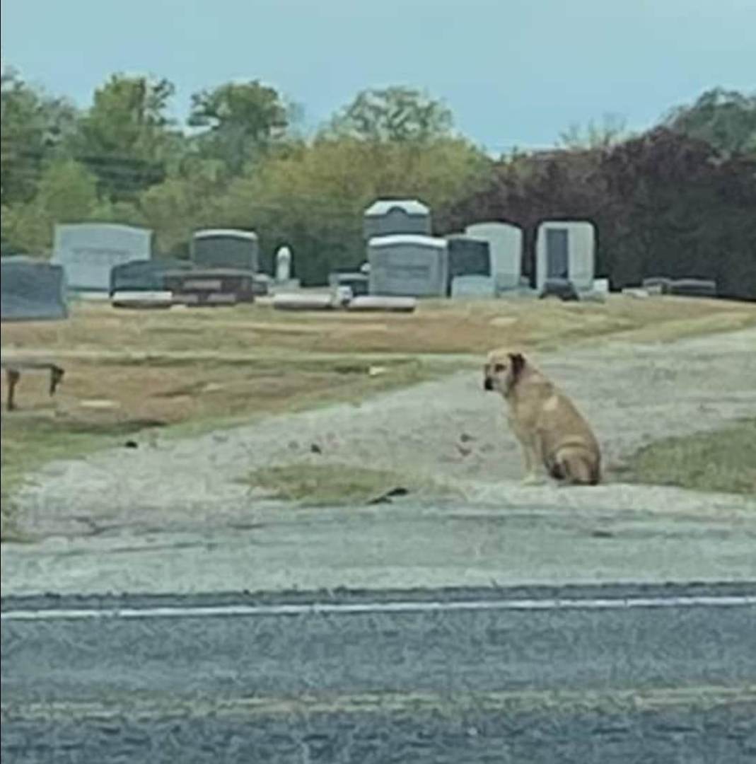 BARNEY LIVED IN A CEMETARY