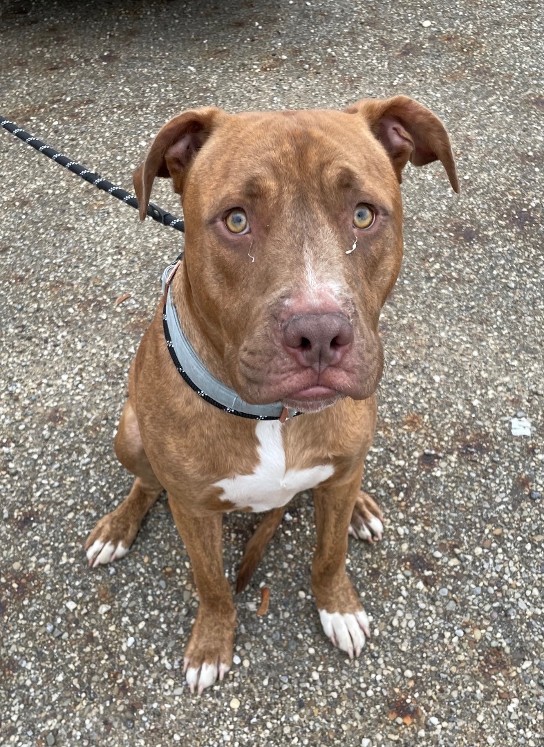 Max/ Wally H1 AVAILABLE 