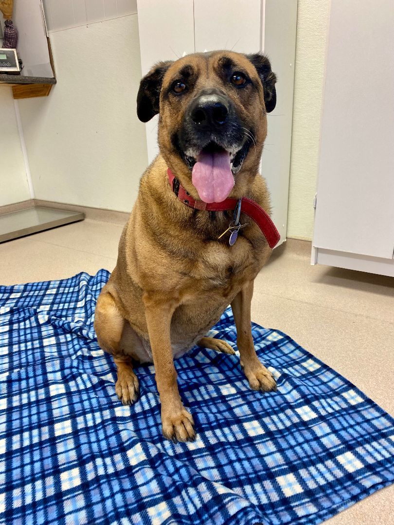 Spice - Teacher's Pet