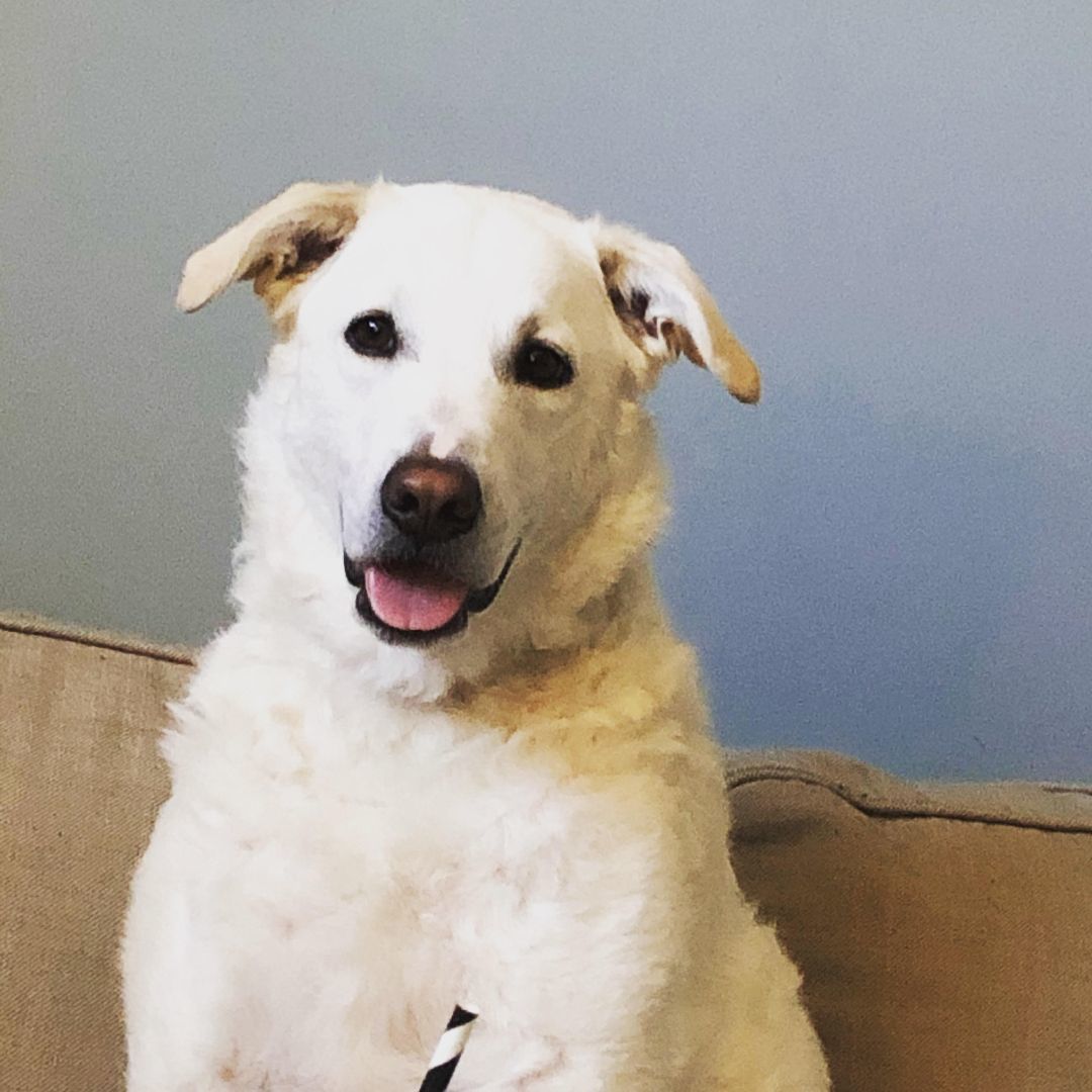 Hermione - Smiley & Happy Girl