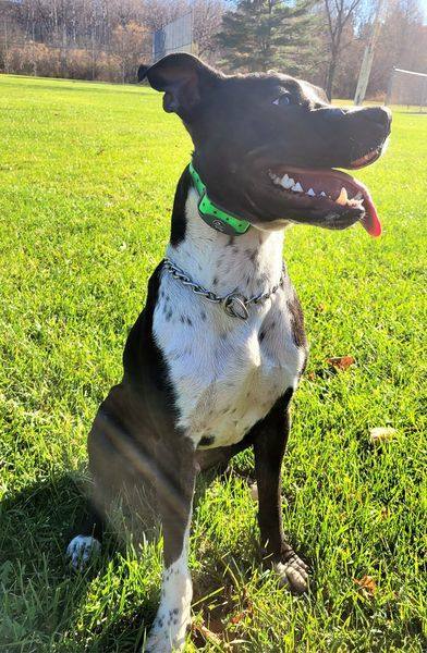 Sushi - courtesy post! 