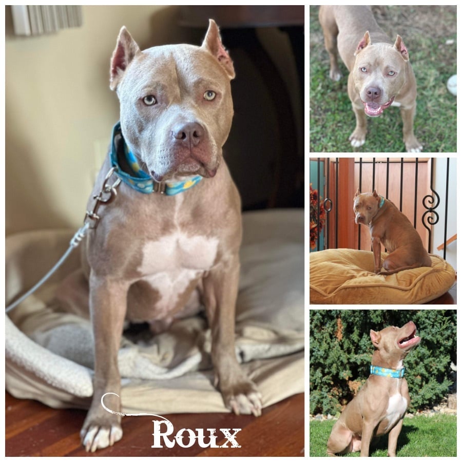 Roux