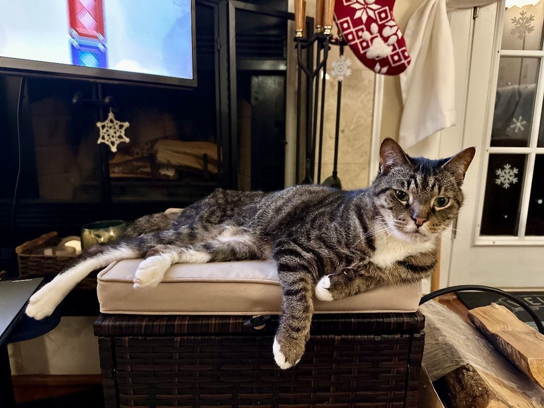 Forrest (a.k.a. Professor Crums)