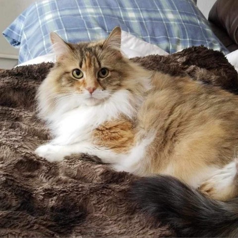 Chloe aka (Chlo-Chlo)