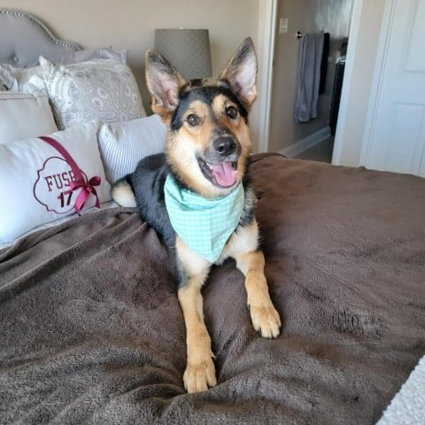 Adela FKA Dallas Mae