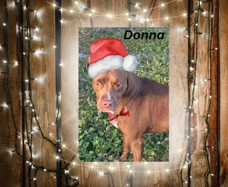 Donna