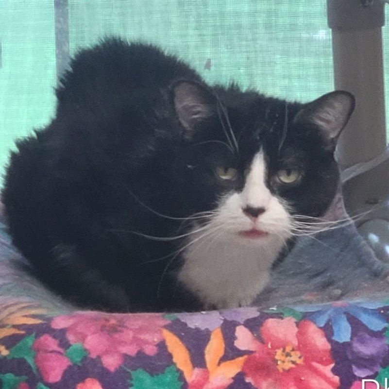 RHETT *MISUNDERSTOOD & NEED PACTIENCE*