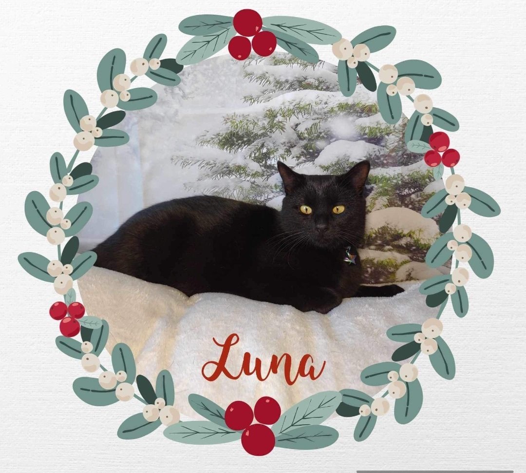 Luna
