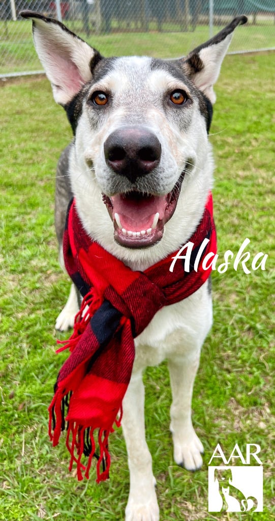 Alaska