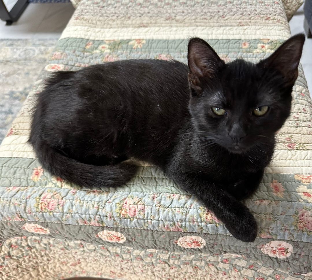 Zoe (Super Friendly!)