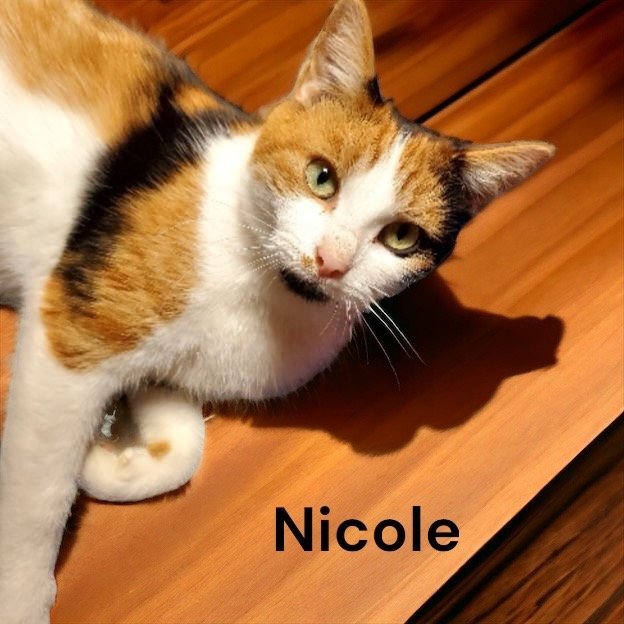 Nicole