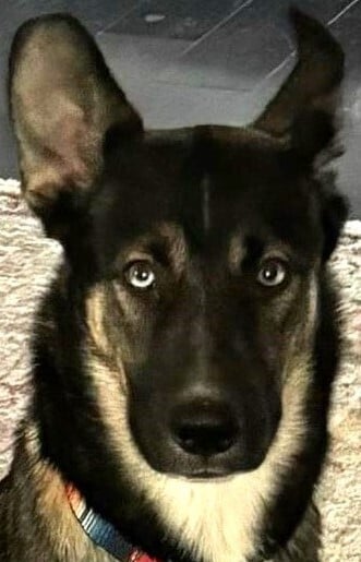 Lyra: (Greek Goddess Mom)