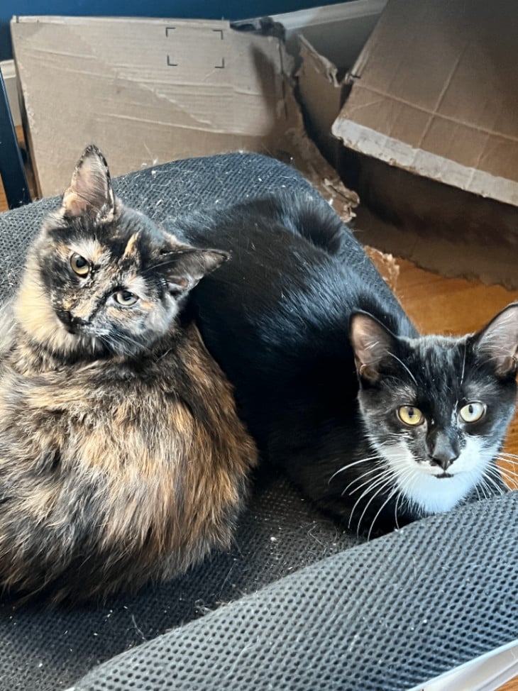 Bonded Pair - Bethany & Lydia