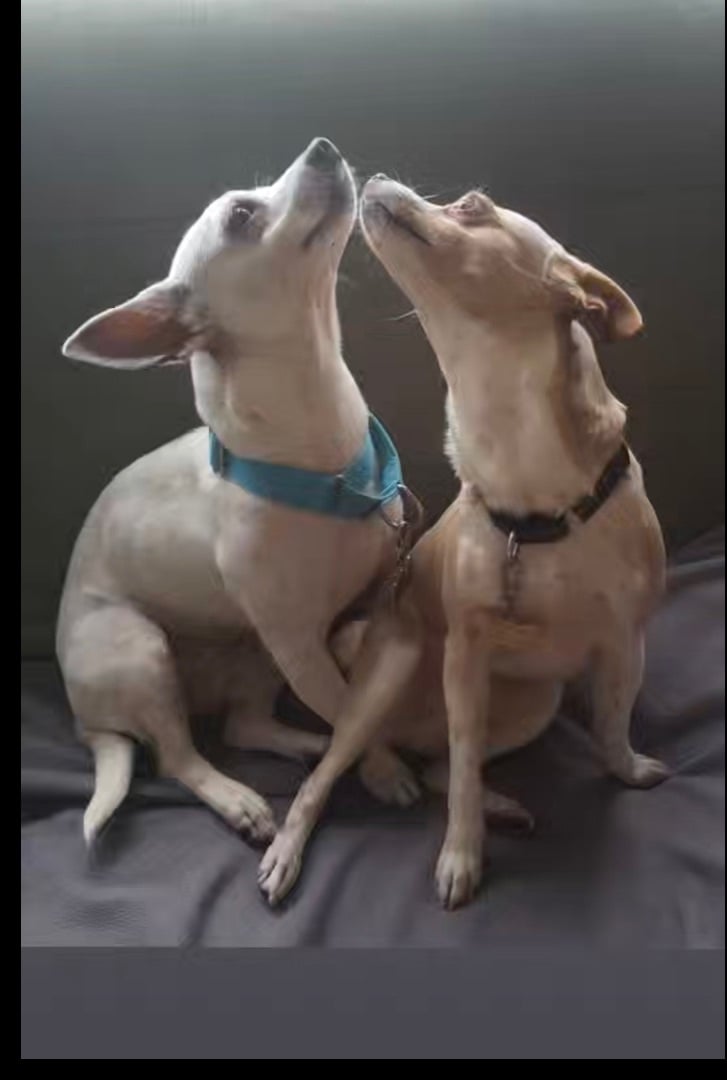 Sensational Sol and Lovely Luna