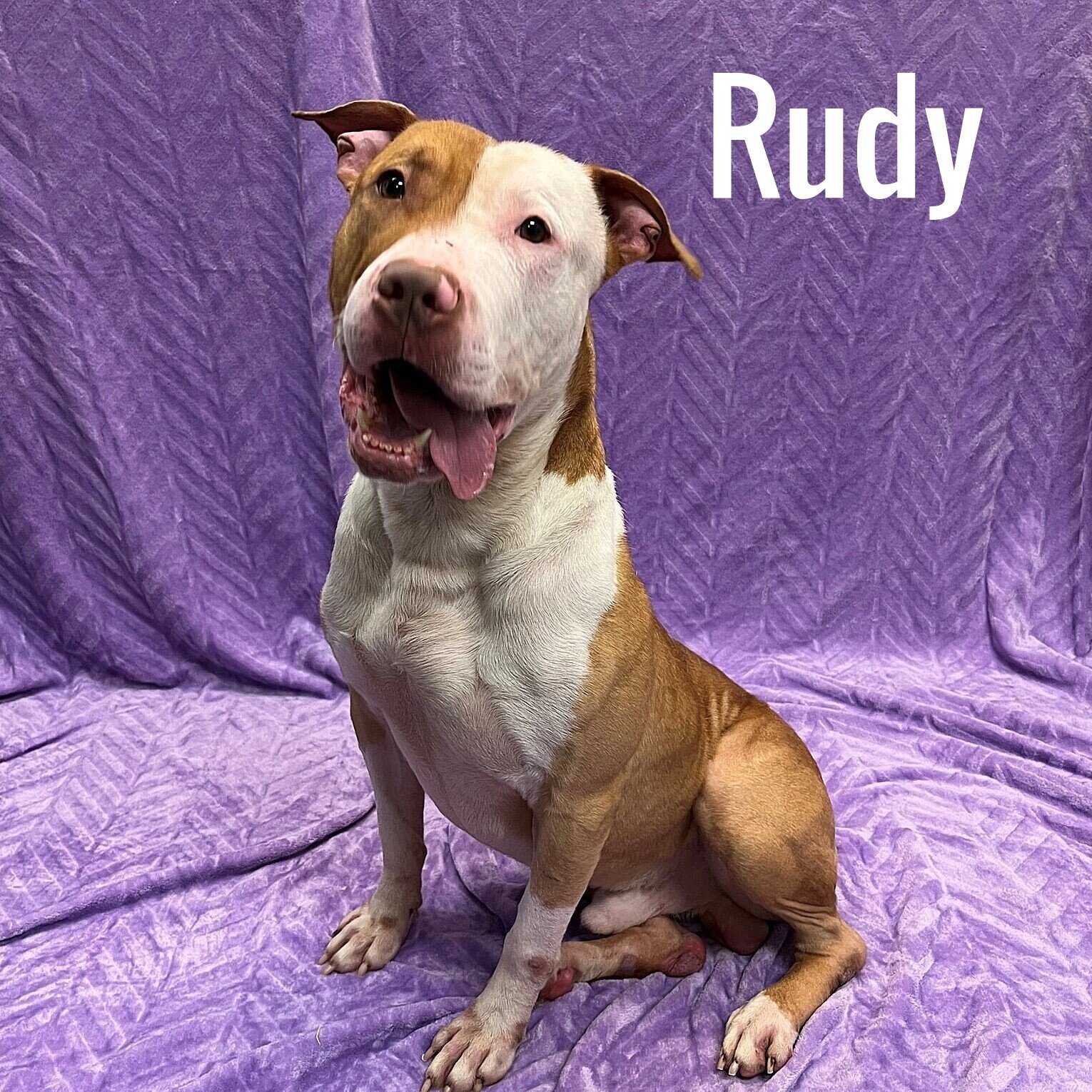 Rudy