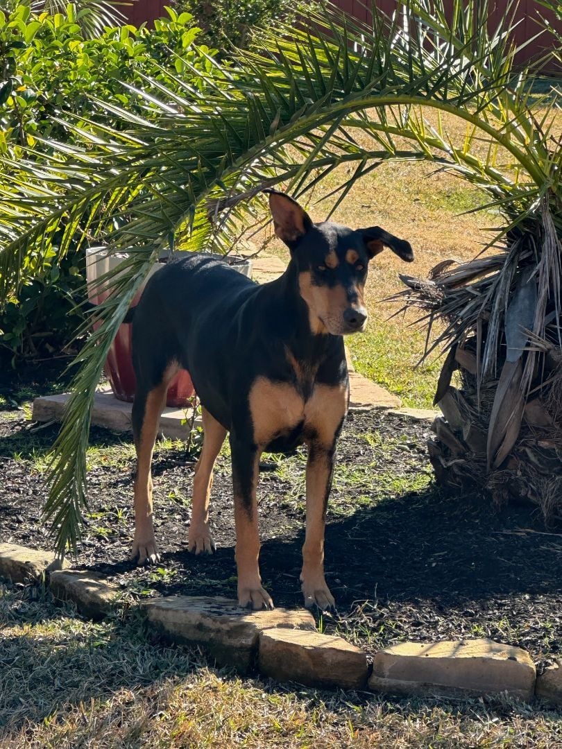 Ingrid (courtesy post)