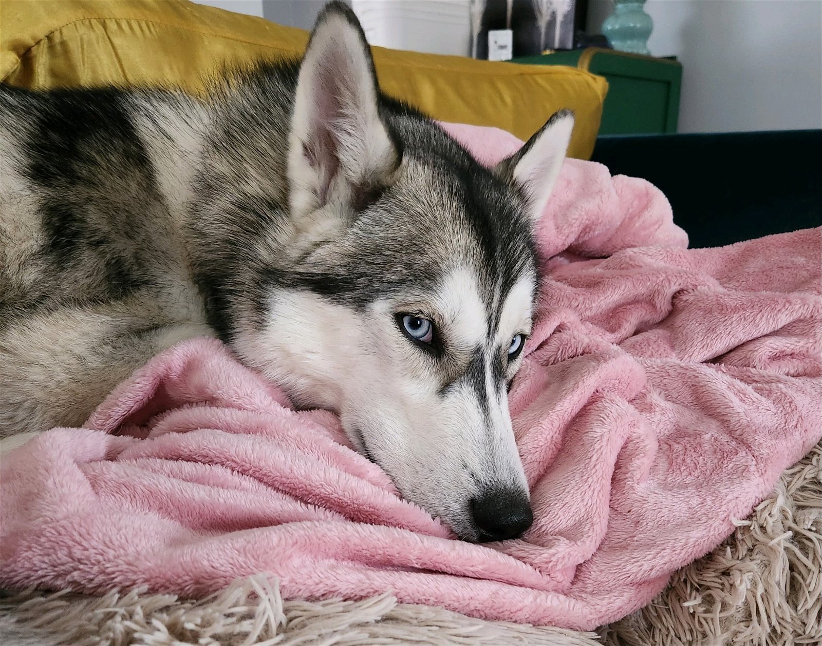 Tumo COURTESY LISTING***