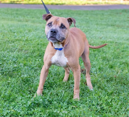 Bonnie FKA Glitterati