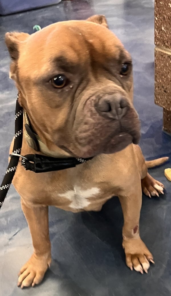 Nathan/hw+/needs Rv1