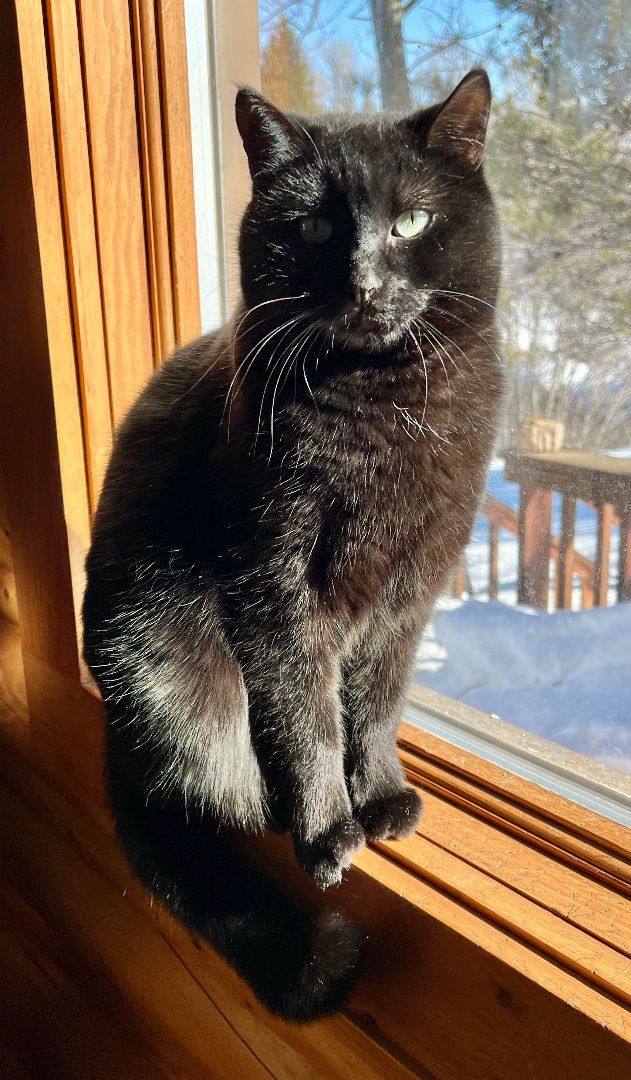 *COURTESY LISTING* Kuki