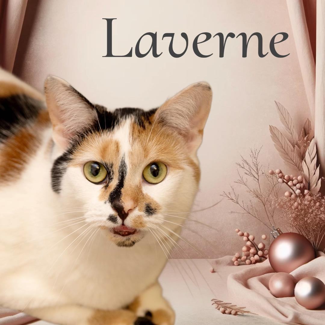 Laverne