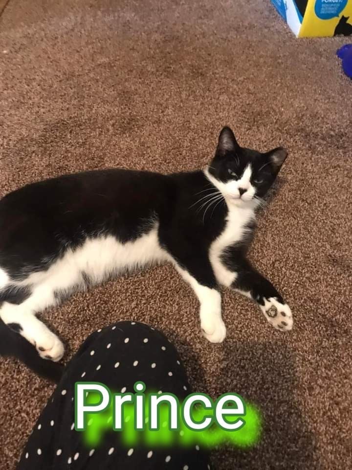 Prince