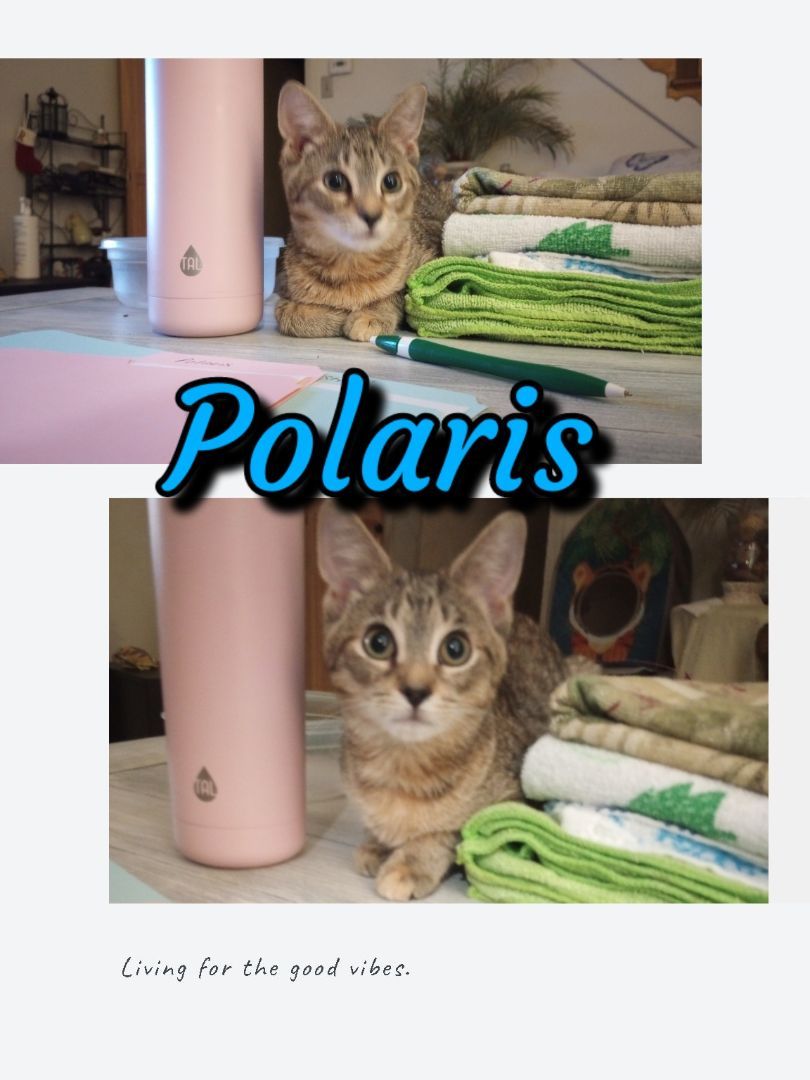 Polaris
