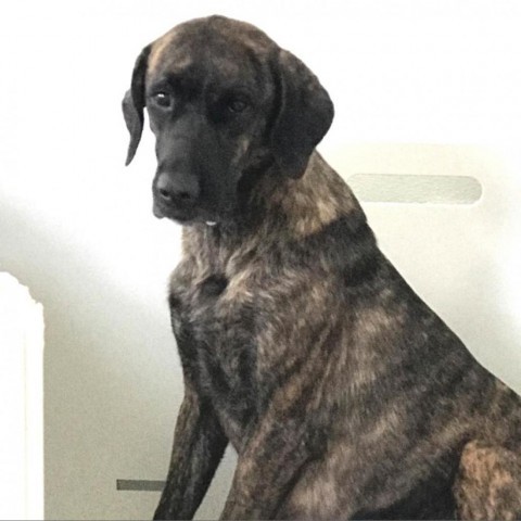 Queen Elizabeth AKA Mama AKA Willow