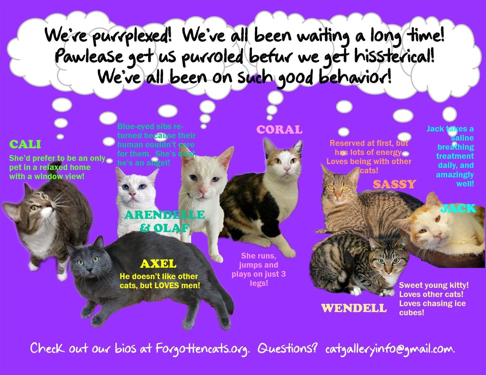 Longer Timers Part 2: Female & Male