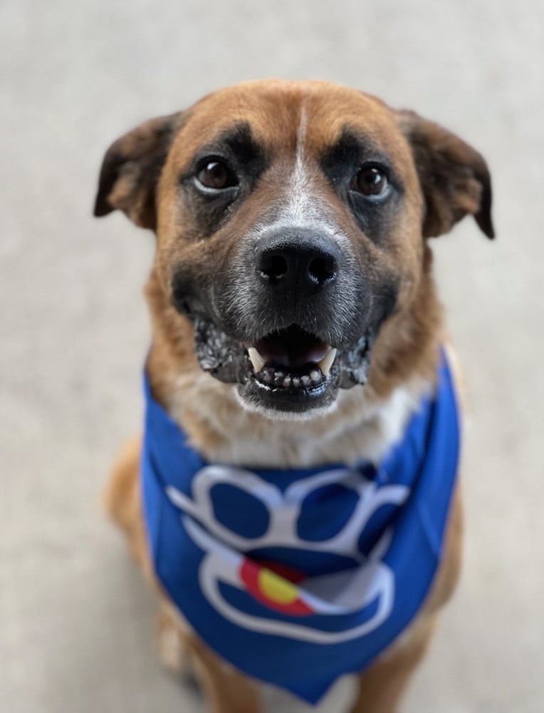 *Courtesy Post* Ranger!