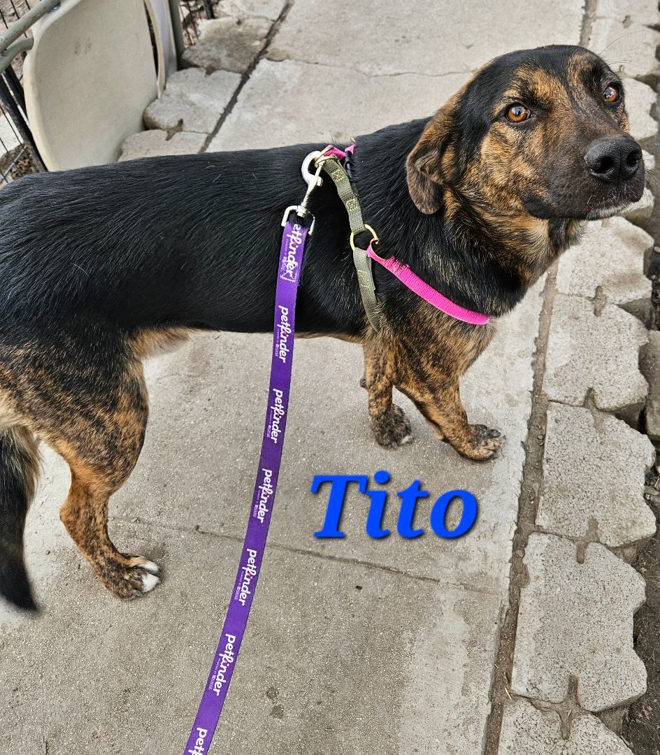 Tito