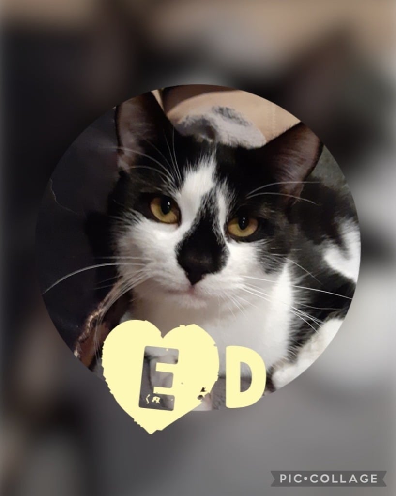 Ed
