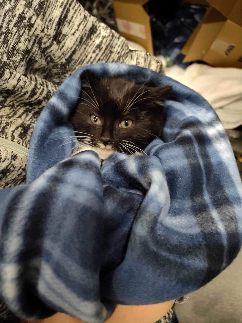 Skittles - Long Island