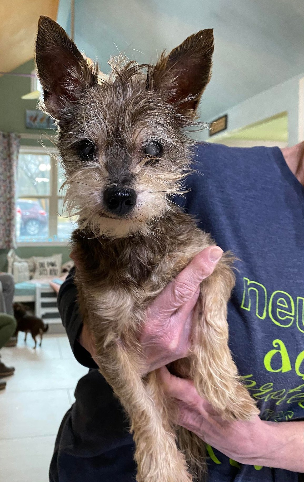 Nibbles (NOT YET AVAILABLE)