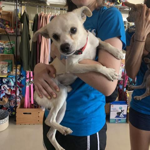 Jasper - Claremont Location