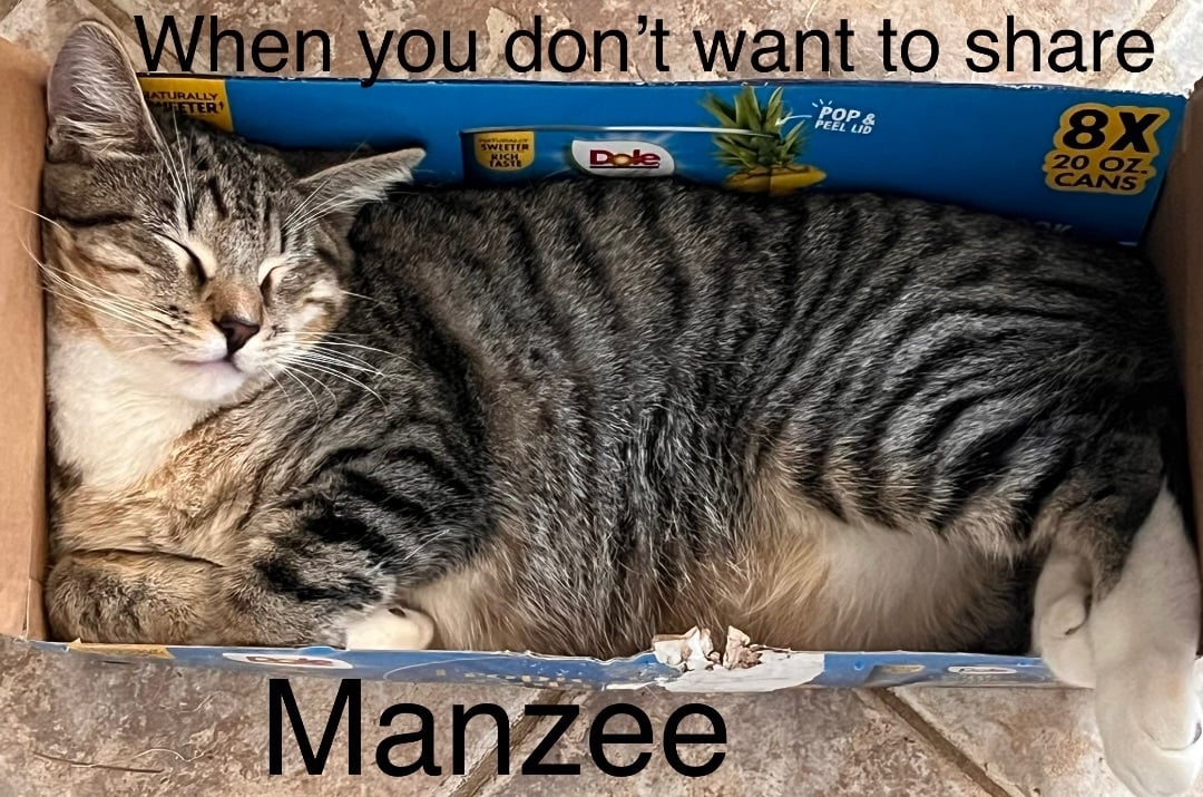 Manzee 