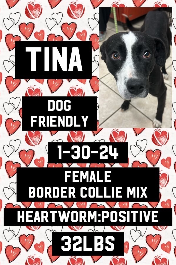 Tina