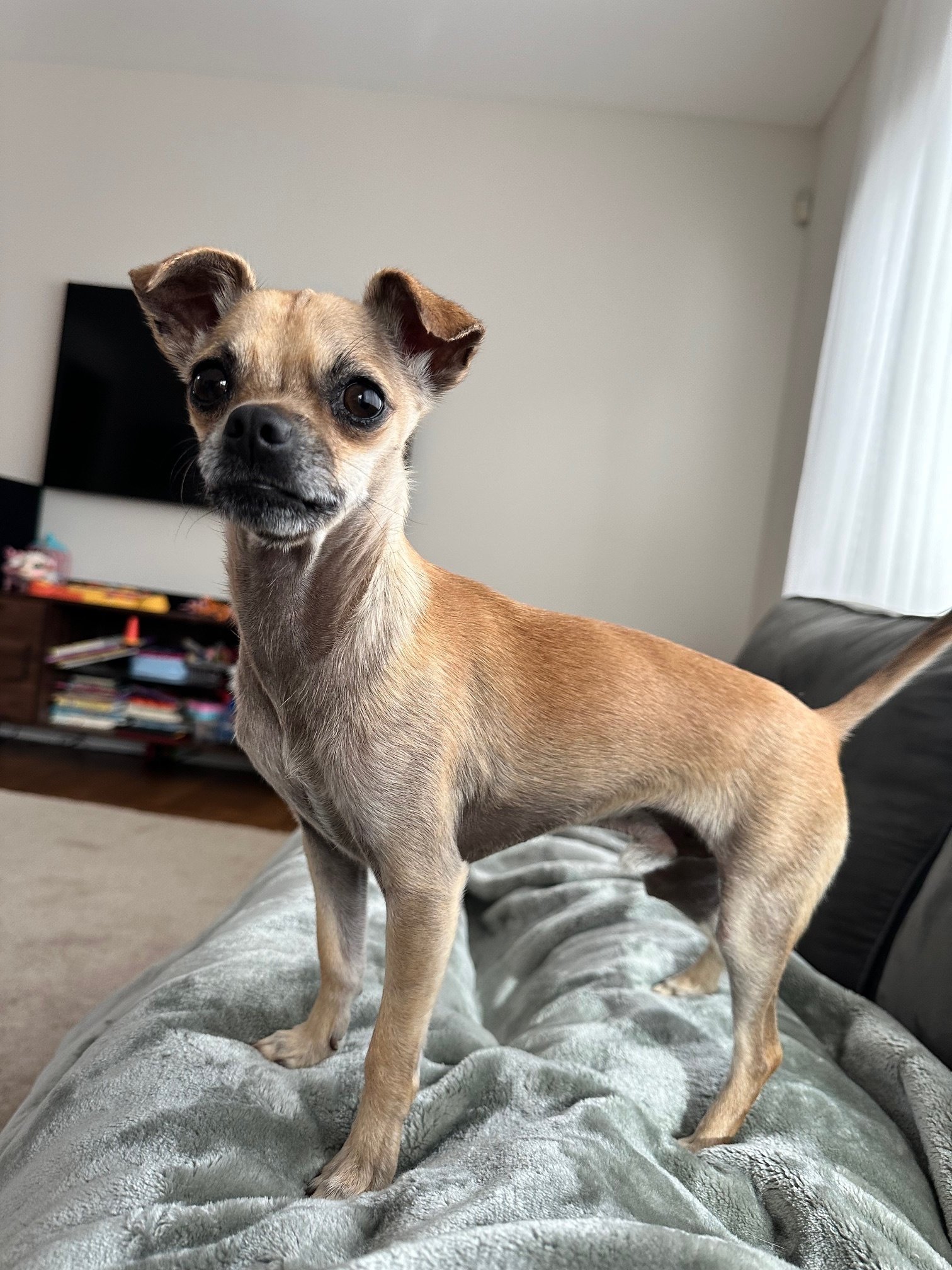 x Courtesy Listing: Charlie