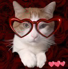 Pumpkin Deliciously Sweet