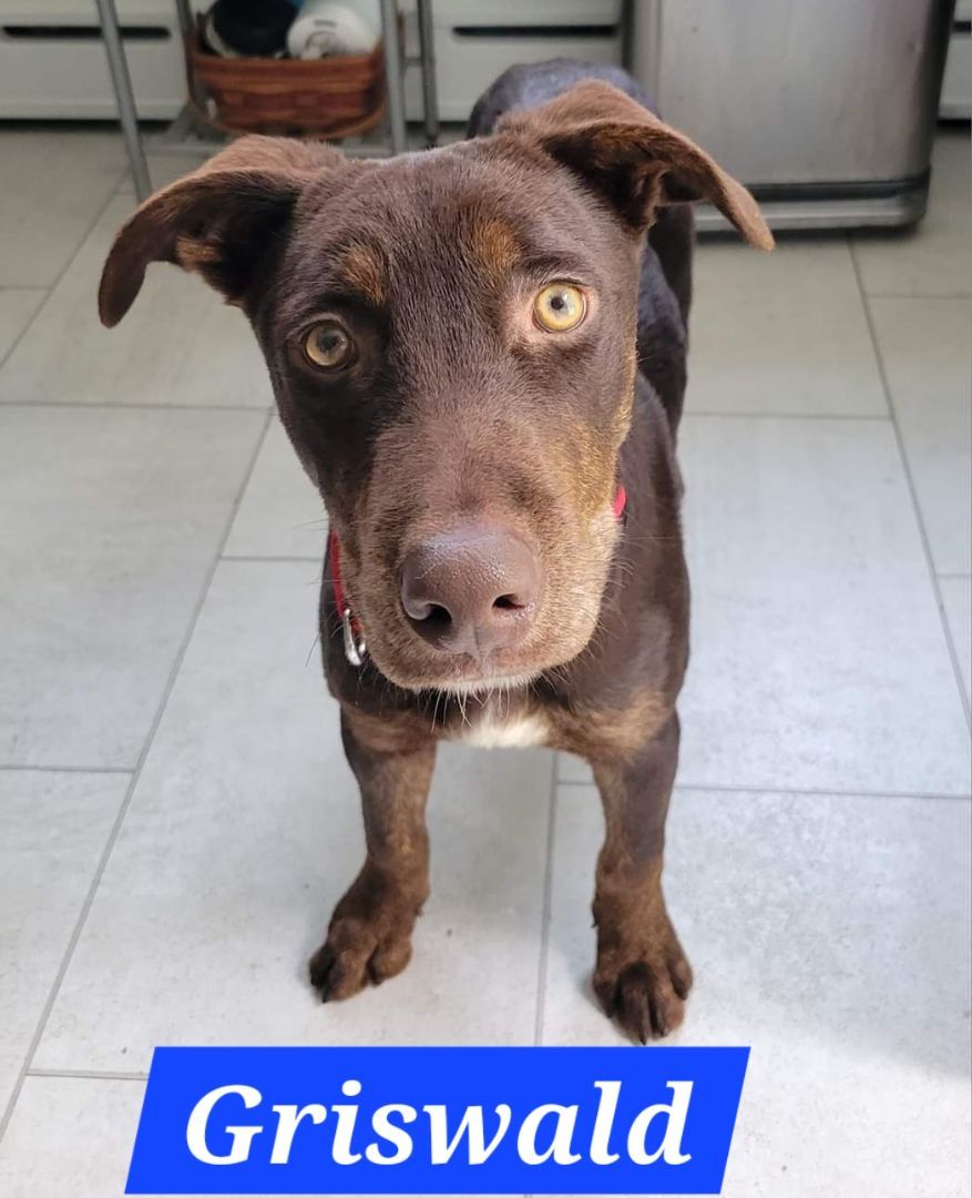 Christmas vaca kids!! 