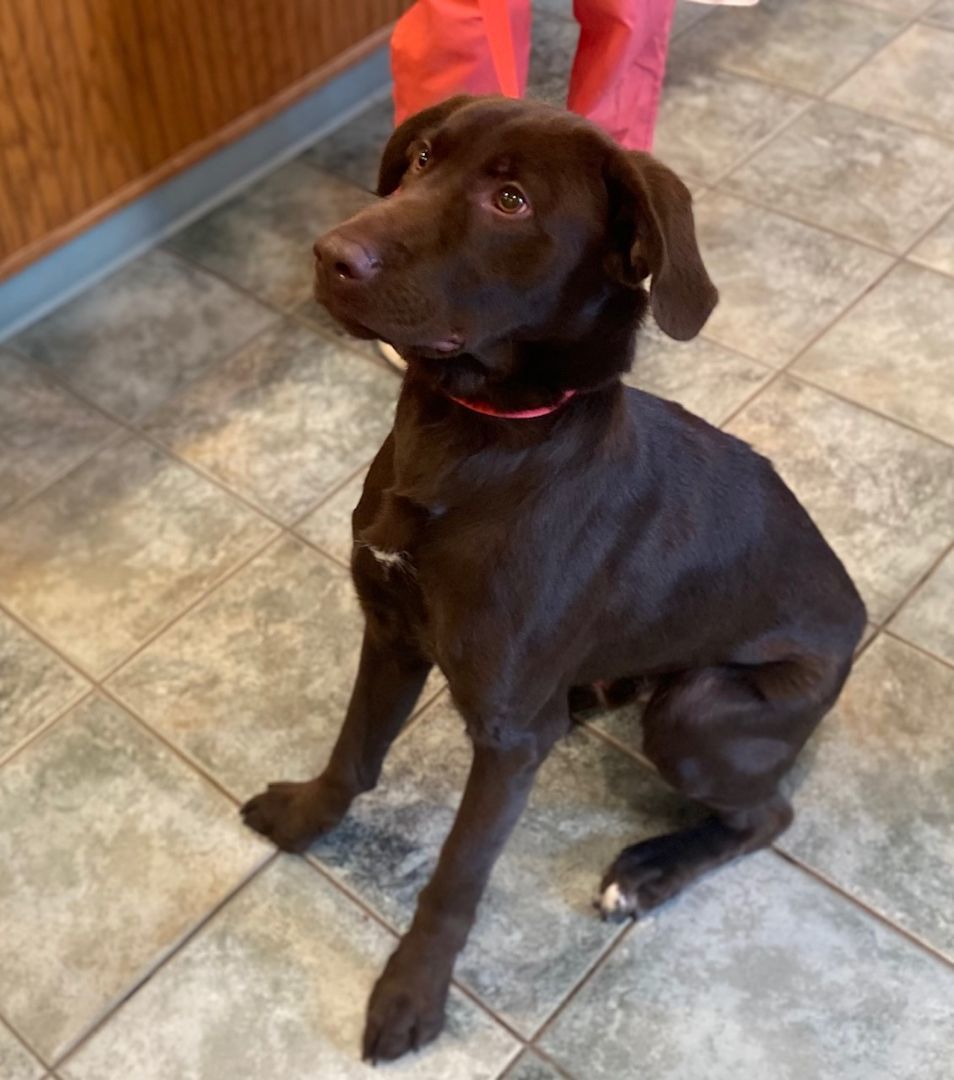 COURTESY POST FOR WASA:  COREY