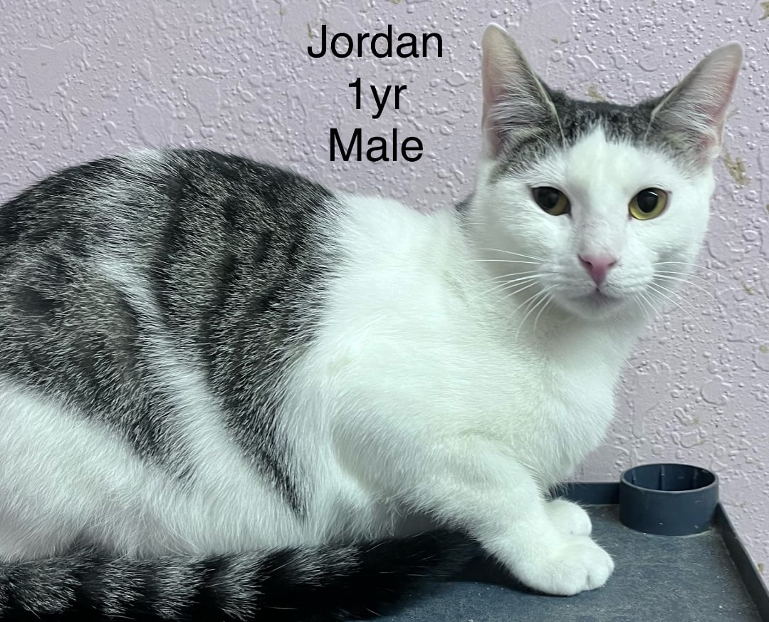 Jordan