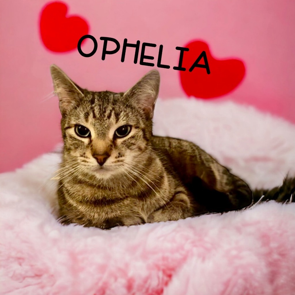 Ophelia