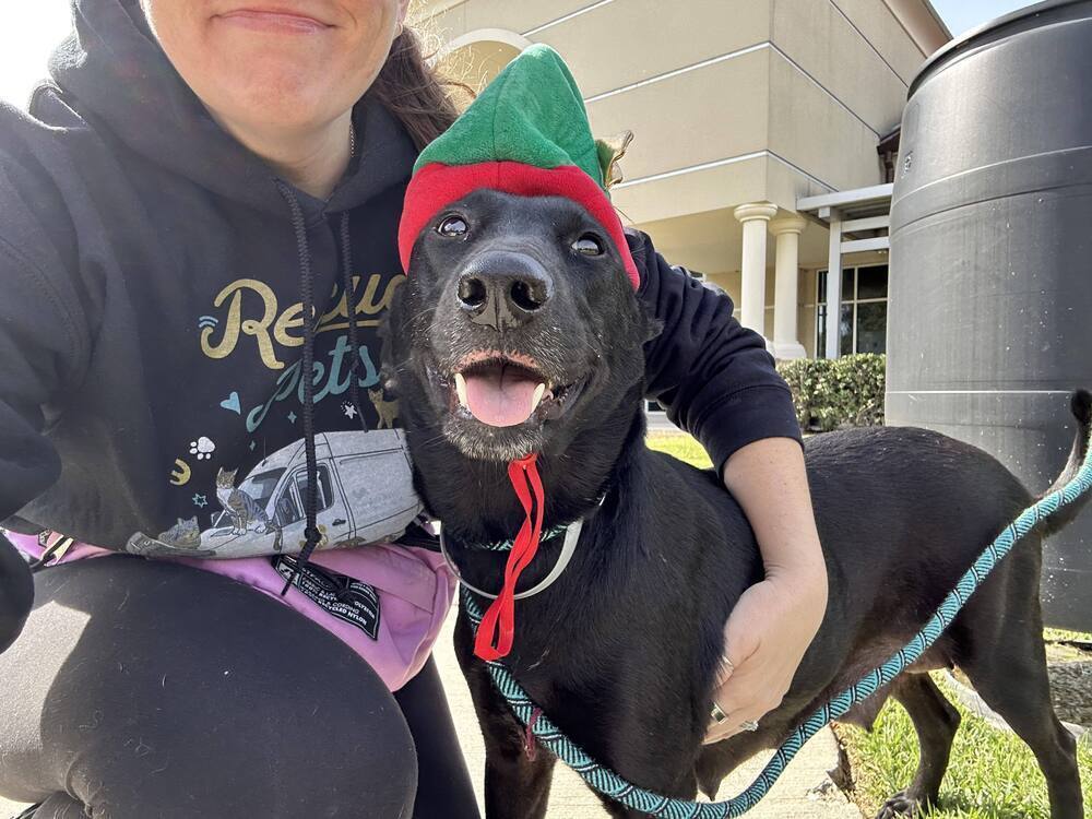 Benton County / Sunflower / Lola