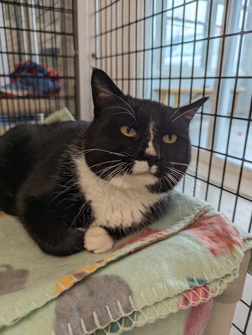 Tackle Box - Sidekick 