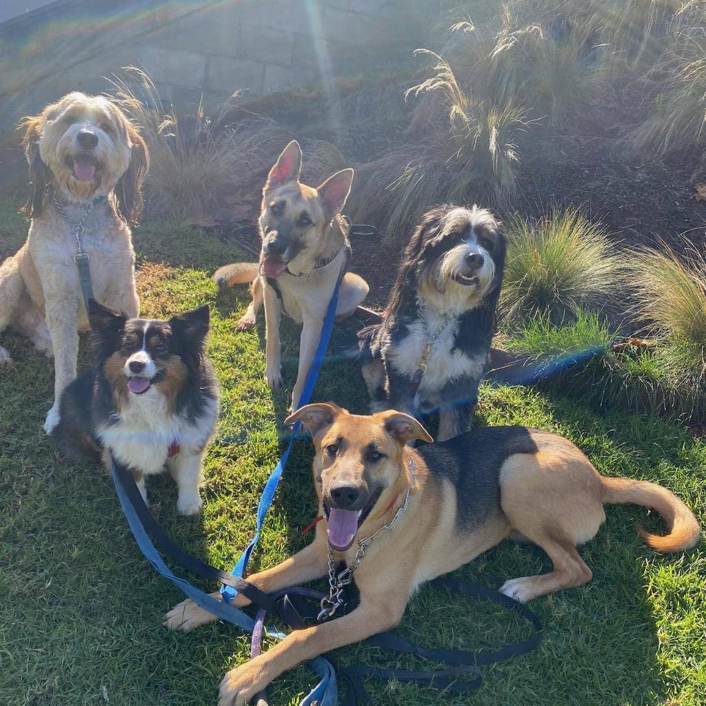 Puttin' on the Blitz!!