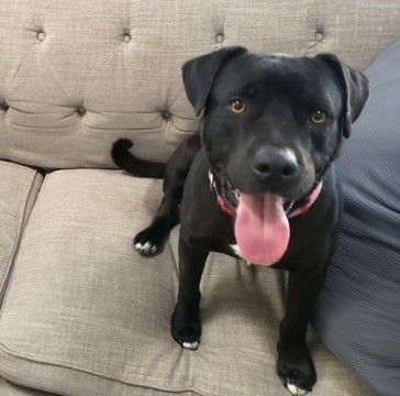 Huckleberry #mr-congeniality