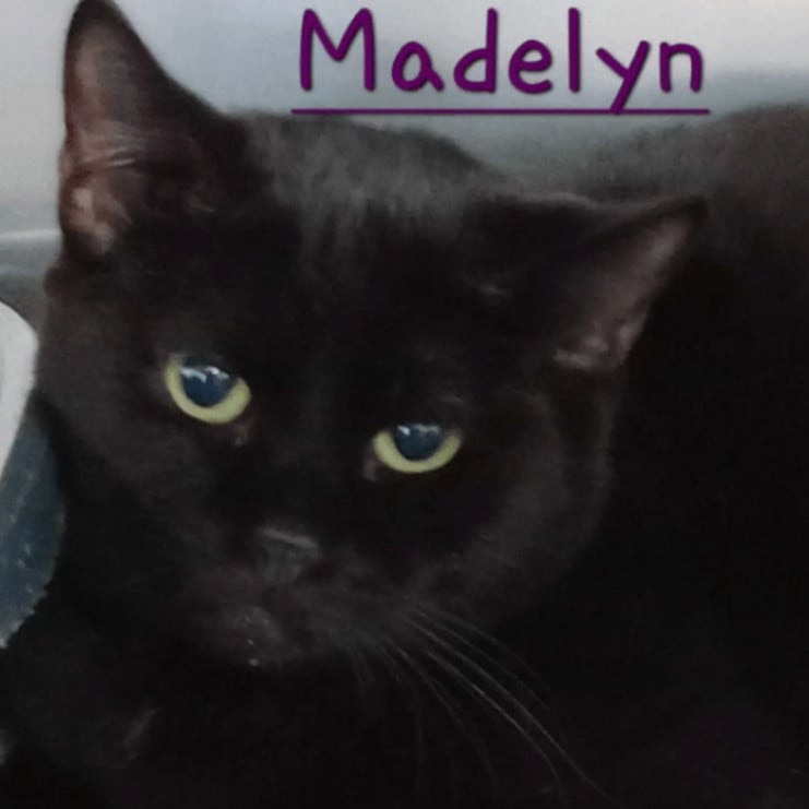 Madelyn Elizabeth Victoria VII (AKA Madelyn)