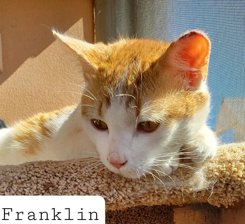 Franklin